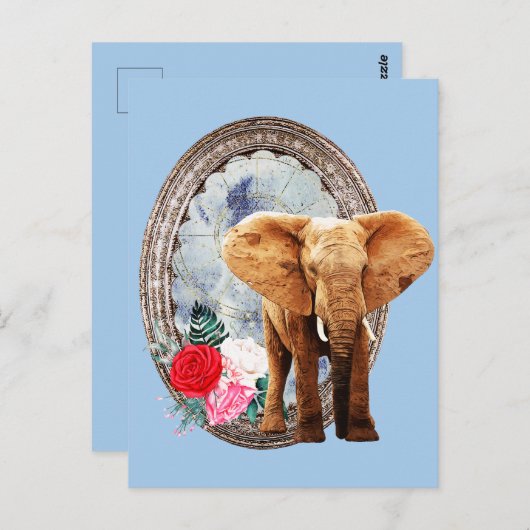 Elefant, Roos en Lijst Briefkaart (Voorkant / Achterkant)