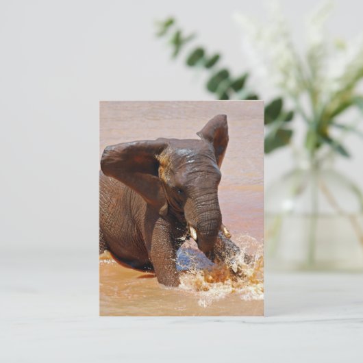 Elefant spelen met water briefkaart (Staand voorkant)