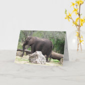 Elefant Wenskaart (0390) Kaart (Gele Bloem)