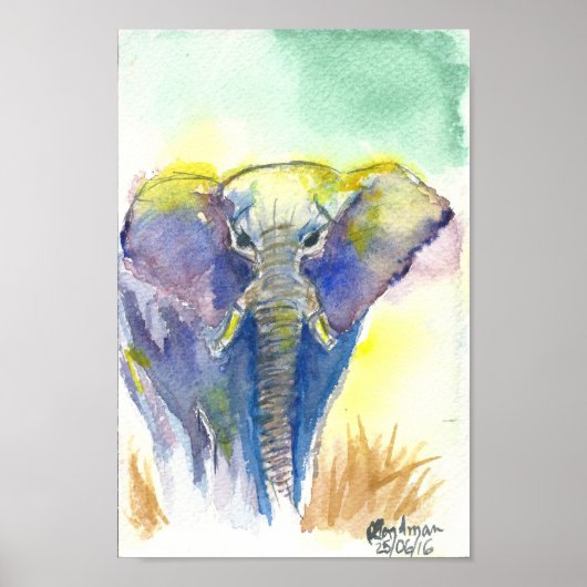 Elefante colorido poster (Voorkant)