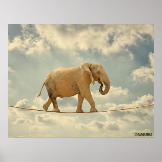 Elefante Poster (Voorkant)