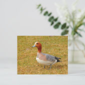 Elegance Briefkaart (Staand voorkant)