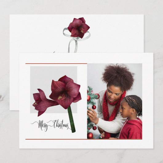 Elegant 1 Foto met Amaryllis Flower, Kerstmis Feestdagenkaart (Voorkant / Achterkant)