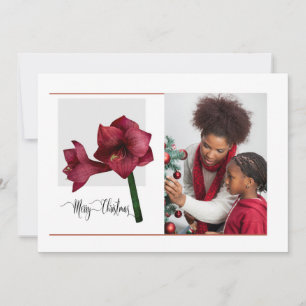 Elegant 1 Foto met Amaryllis Flower, Kerstmis Feestdagenkaart