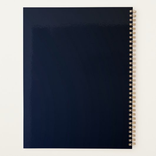 Elegant Abstract Gold Blue Roze Planner (Achterkant)