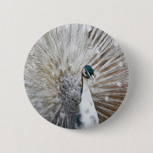 Elegant Albino Peacock Ronde Button 5,7 Cm