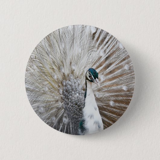 Elegant Albino Peacock Ronde Button 5,7 Cm (Voorkant)