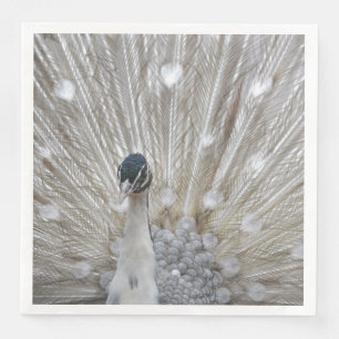 Elegant Albino Peacock Servetten