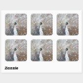 Elegant Albino Peacock Vierkante Sticker (Vel)