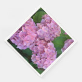 Elegant and Rustic Hortensia Hydrangea macrophylla Servet (Hoek)