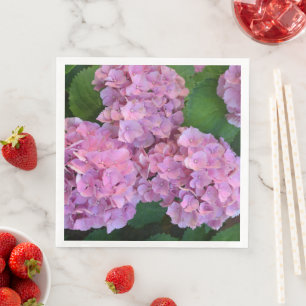 Elegant and Rustic Hortensia Hydrangea macrophylla Servet