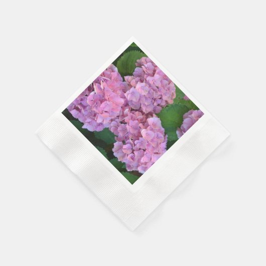 Elegant and Rustic Hortensia Hydrangea macrophylla Servet (Hoek)