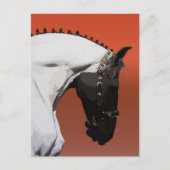 Elegant Andalusisch paard – Majestueuze ruiterkuns Briefkaart (Voorkant)