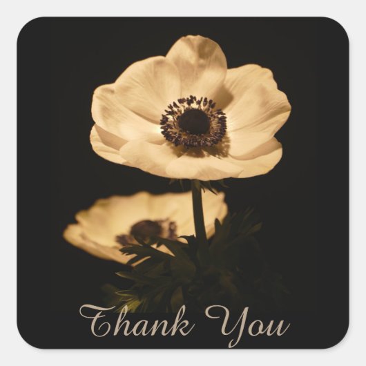 Elegant Anemone Flowers Bedankt Vierkante Sticker (Voorkant)