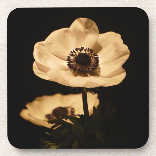 Elegant Anemone Flowers Photo Bier Onderzetter (Voorkant)