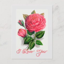 Elegant  Anna de Diesbach Roos Ik hou van je Briefkaart