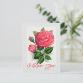 Elegant  Anna de Diesbach Roos Ik hou van je Briefkaart (Staand voorkant)