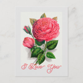 Elegant  Anna de Diesbach Roos Ik hou van je Briefkaart