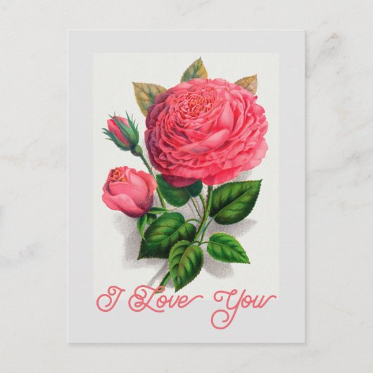 Elegant  Anna de Diesbach Roos Ik hou van je Briefkaart (Voorkant)