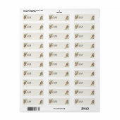 Elegant Antiek Cream Roos van Label (Full Sheet)