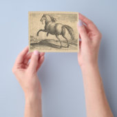 Elegant Antiek graven van Spaanse paarden Flyer (Hand)