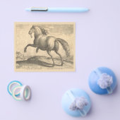 Elegant Antiek graven van Spaanse paarden Flyer (Enkel)