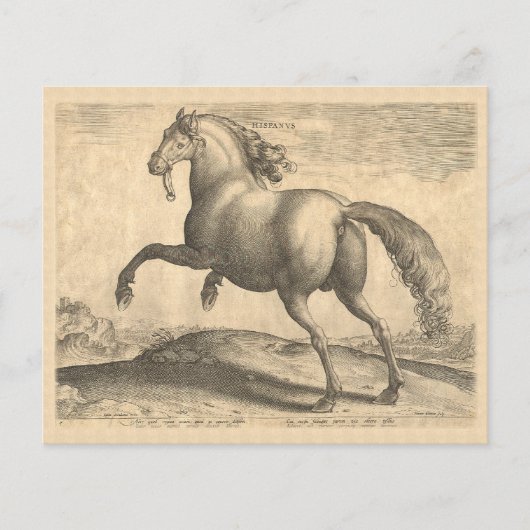 Elegant Antiek graven van Spaanse paarden Flyer (Voorkant)