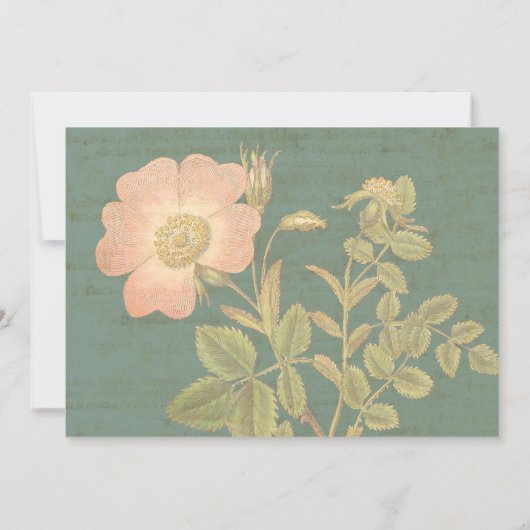 Elegant Antiek Roos  Verdigris Patina Kaart (Achterkant)