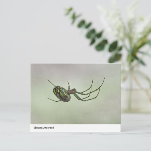 Elegant Arachnid - Artistic Weaver Post van de Nat Briefkaart (Staand voorkant)