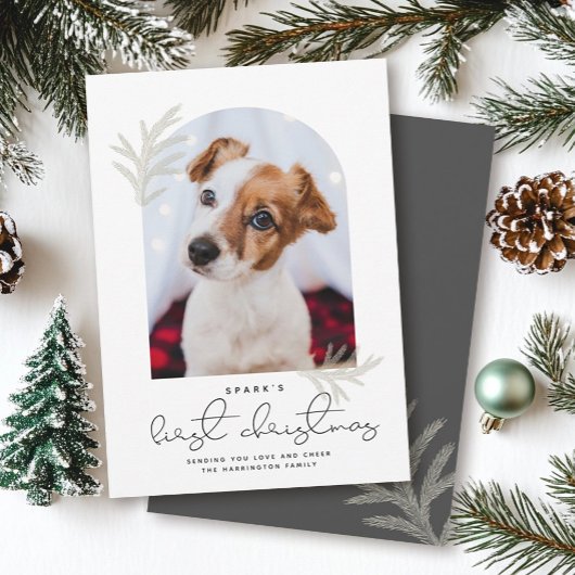 Elegant Arch | Eerste kerstfeestmaal Dog Modern Feestdagenkaart
