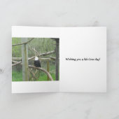 Elegant Bald Eagle Kaart (Binnen)