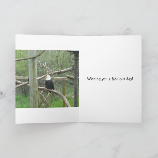 Elegant Bald Eagle Kaart (Binnen)