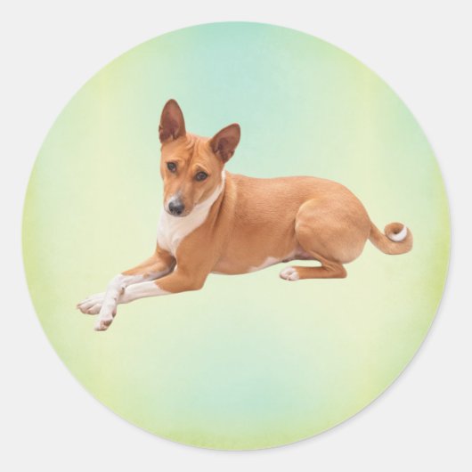Elegant Basenji Dog Ronde Sticker (Voorkant)