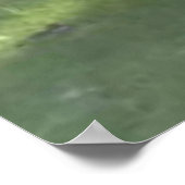 Elegant Beauful White Horse Origine Art Poster (Hoek)