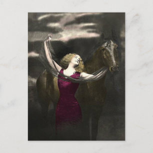 Elegant  Beauty en de Zwarte Stallion Briefkaart