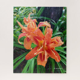 Elegant Bedewed Oranje Dubbelvloed Daylilies Legpuzzel