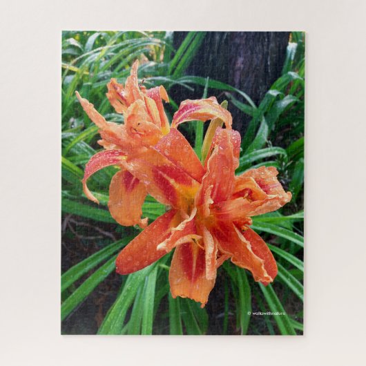 Elegant Bedewed Oranje Dubbelvloed Daylilies Legpuzzel (Verticaal)