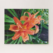 Elegant Bedewed Oranje Dubbelvloed Daylilies Legpuzzel (Horizontaal)