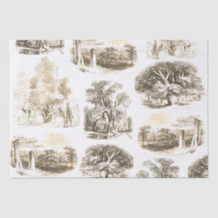 Elegant  Beige Goud Frans land Toile Tissuepapier
