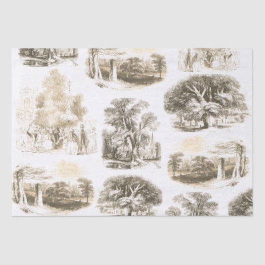 Elegant  Beige Goud Frans land Toile Tissuepapier (Voorkant)
