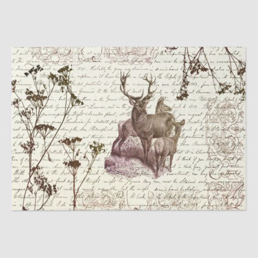 Elegant Beige Sepia Deer Flowers Script Tissuepapier (Voorkant)