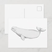 Elegant Beluga Whale Book Illustration Briefkaart (Voorkant / Achterkant)