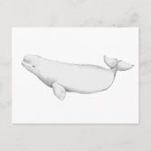 Elegant Beluga Whale Book Illustration Briefkaart (Voorkant)