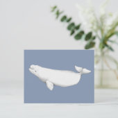 Elegant Beluga Whale Book Illustration Briefkaart (Staand voorkant)