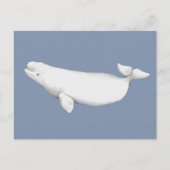 Elegant Beluga Whale Book Illustration Briefkaart (Voorkant)
