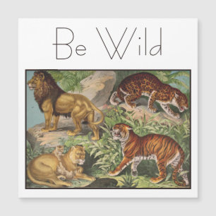 Elegant Big Cat Lions Tigers, Lopards