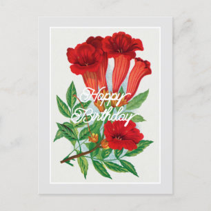 Elegant  Bignonia Flower Happy Birthday Briefkaart
