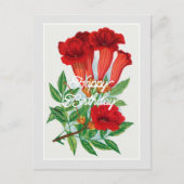 Elegant  Bignonia Flower Happy Birthday Briefkaart (Voorkant)
