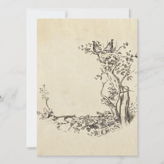 Elegant  Birds Cream Wedding Invitation Kaart (Achterkant)