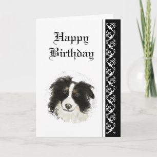 Elegant Birthday, Border Collie Dog Pet Kaart